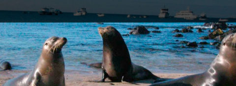 Islas Galápagos